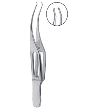 Colibri Forceps